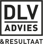 DLV Advies